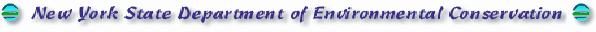 New York State Department of Environmental Conservation